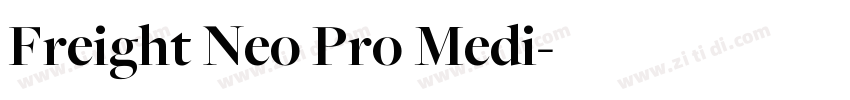 Freight Neo Pro Medi字体转换